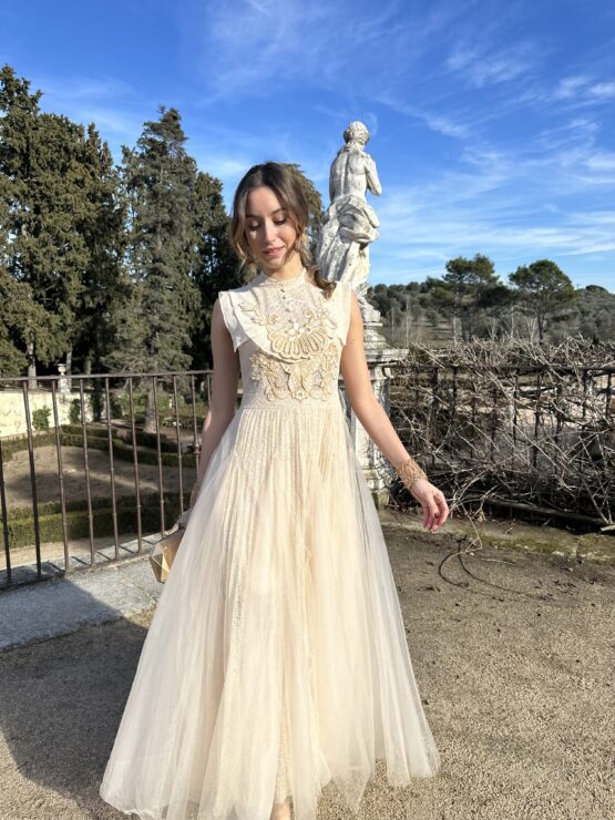 Vestido Versalles tul y bordado - Imagen 6